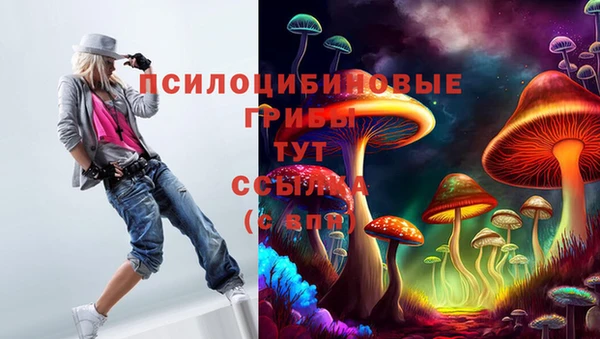 хмурый Абинск