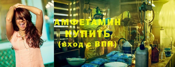 гидра Алексеевка