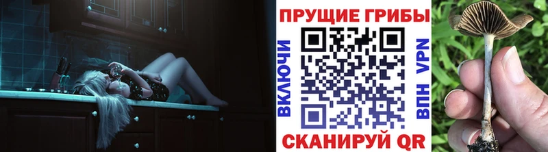 Псилоцибиновые грибы мухоморы маркетплейс какой сайт Рославль